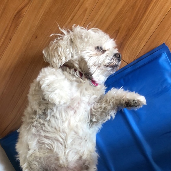 Meet your Posher, Raquel - Picture 1 of 1